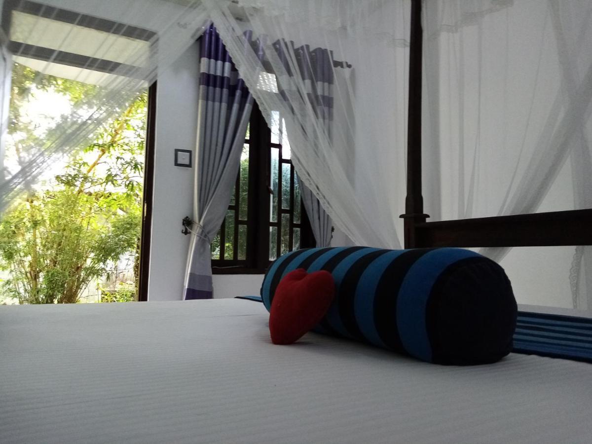 Sigiriya Danu Homestay Экстерьер фото