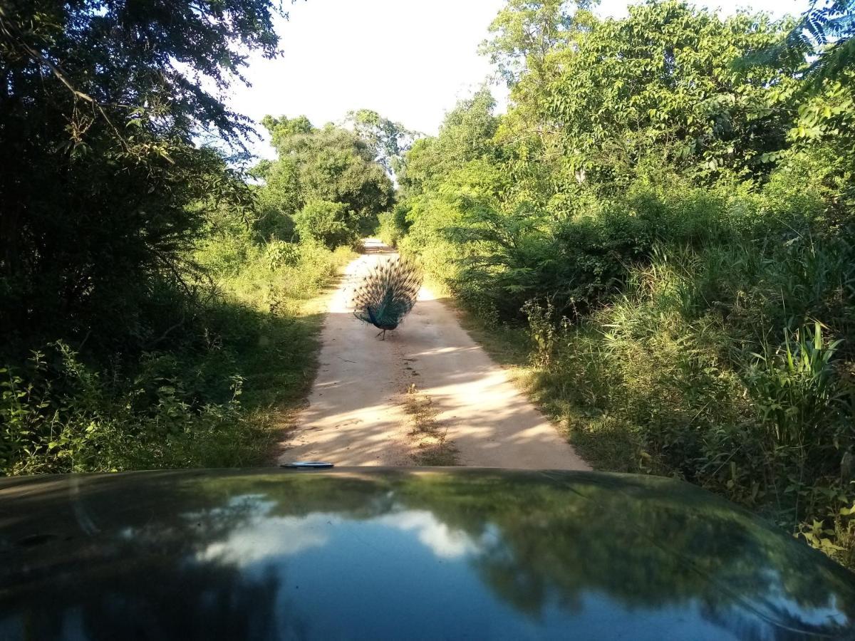 Sigiriya Danu Homestay Экстерьер фото