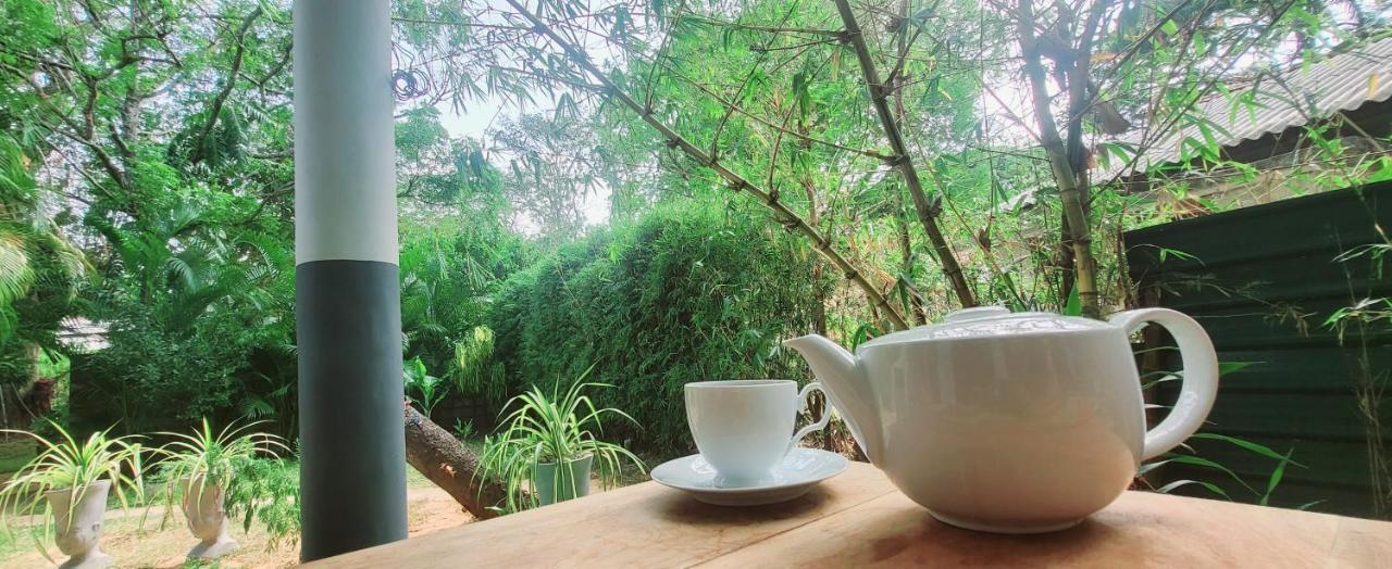 Sigiriya Danu Homestay Экстерьер фото