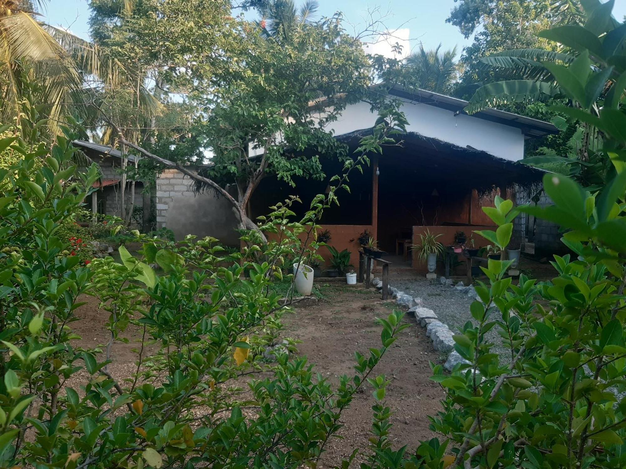 Sigiriya Danu Homestay Экстерьер фото
