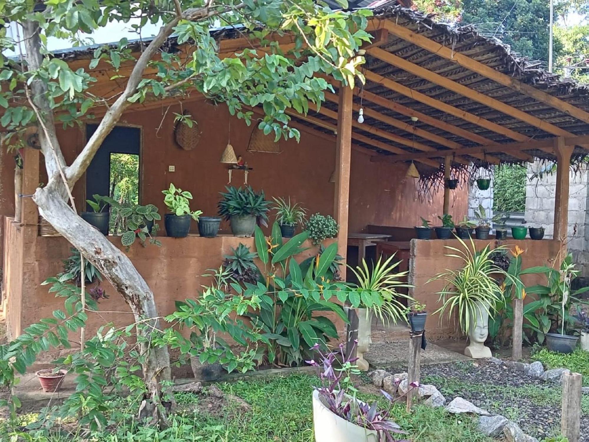 Sigiriya Danu Homestay Экстерьер фото
